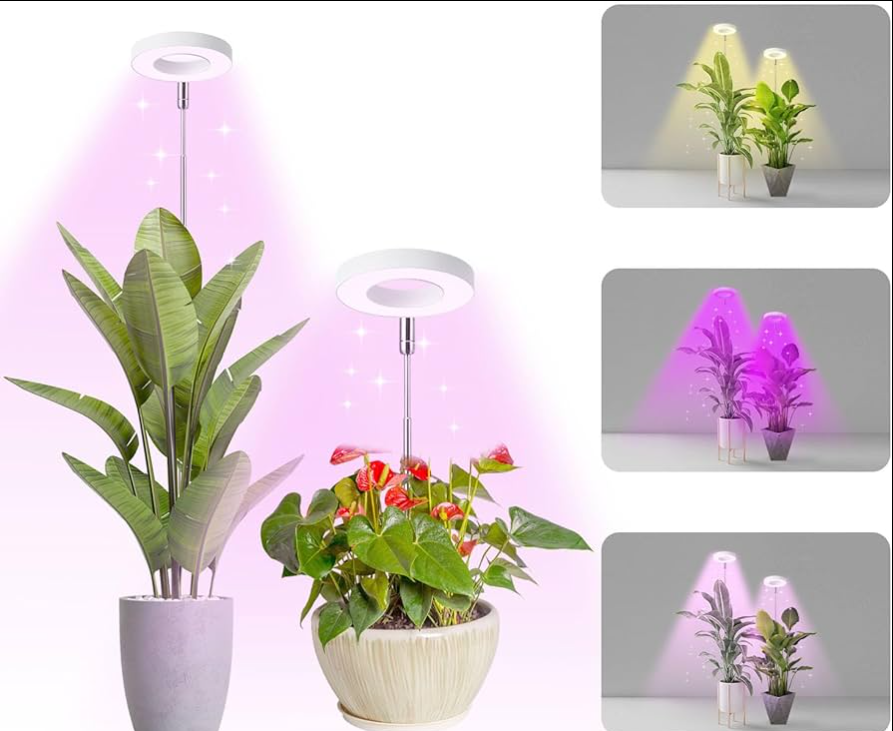 LED-Pflanzenlampe für Innenräume